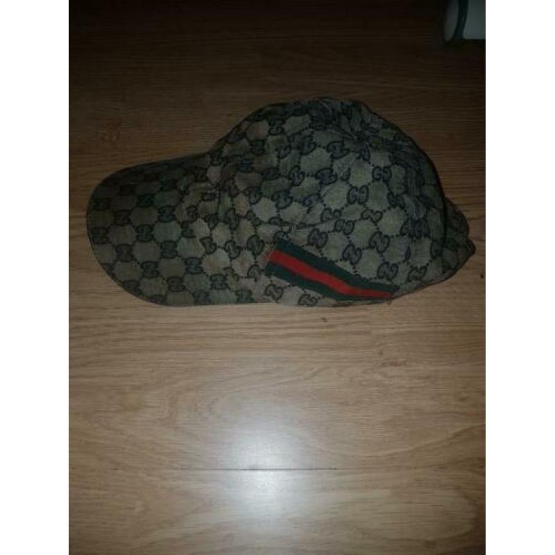 Gucci pet