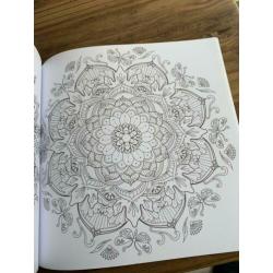 Het achtste enige echte mandala kleurboek