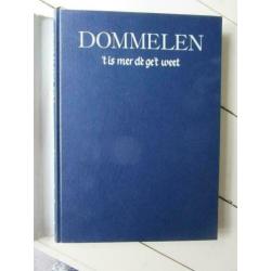 Dommelen, ’t is mer dè ge’t weet, uitgave projectgroep 1980