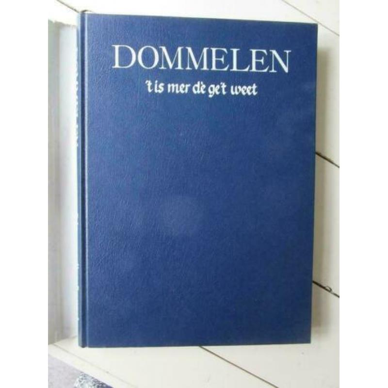 Dommelen, ’t is mer dè ge’t weet, uitgave projectgroep 1980