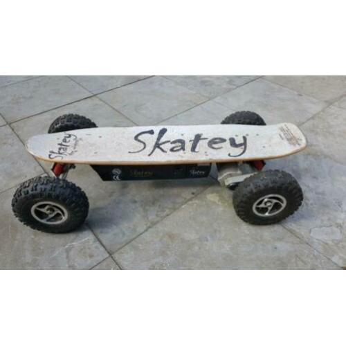 Electrisch skateboard Skatey