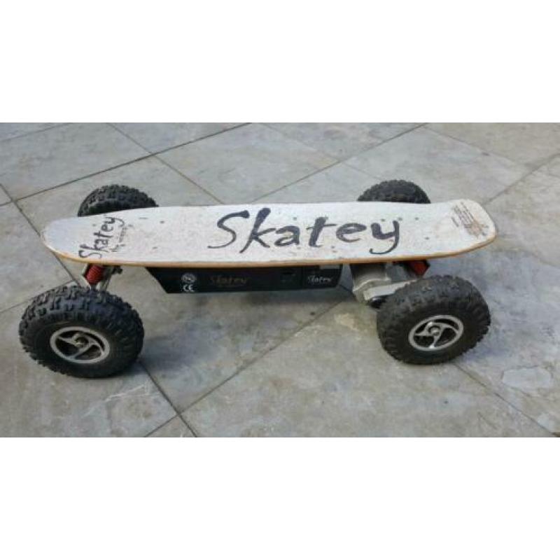 Electrisch skateboard Skatey