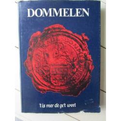 Dommelen, ’t is mer dè ge’t weet, uitgave projectgroep 1980