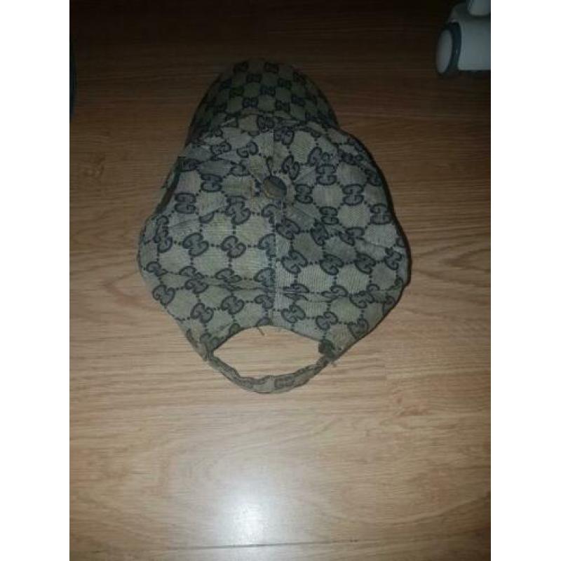 Gucci pet