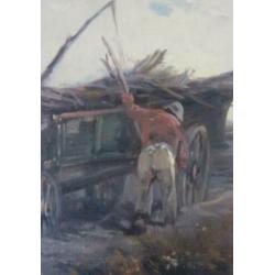 ====== Henry Schouten 1857-1927======