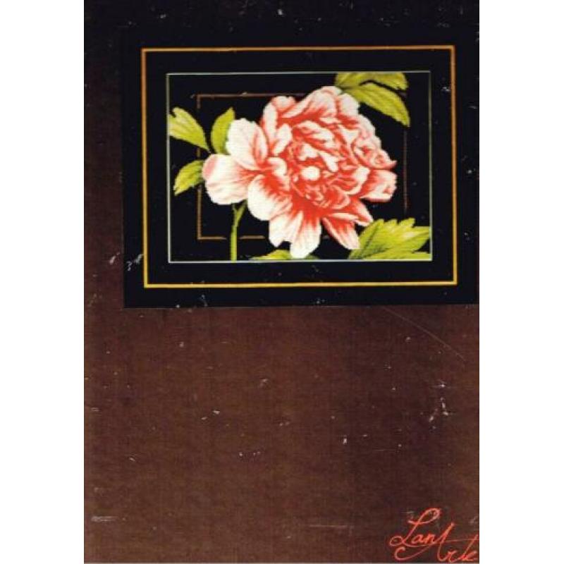 Cado AANBIEDING LANARTE BORDUURPAKKET, PINK ROSE 749