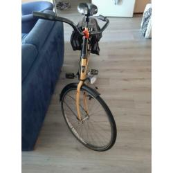 PERSONAL BIKE fiets BATAVUS
