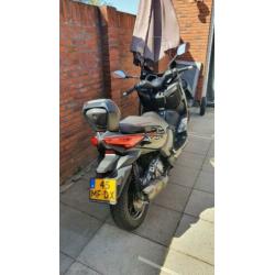 Yamaha xmax 250cc