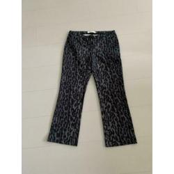 Antraciet grijs blauw maat 36 zgan