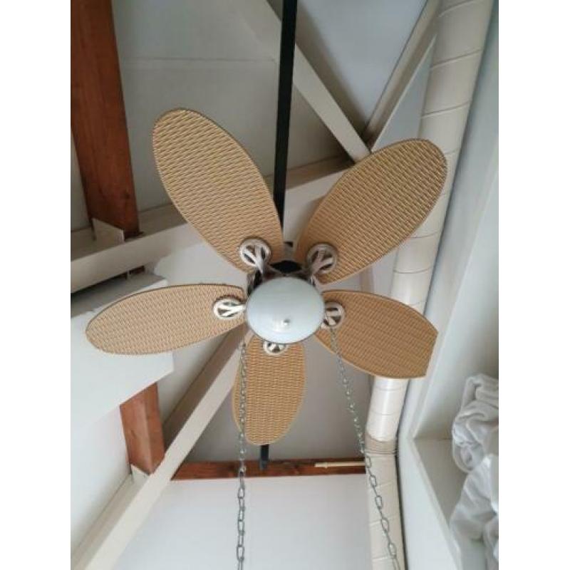 Plafond ventilator