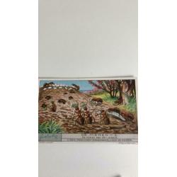 Liebig. De Mieren. Serie 1t/m 6. Rond 1930