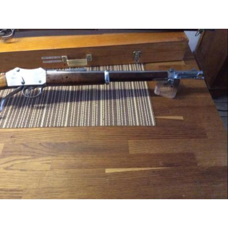 Martini henry carabin