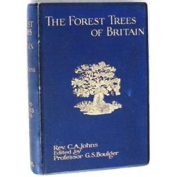 The Forest Trees of Britain 1912 Johns - Bomen bossen