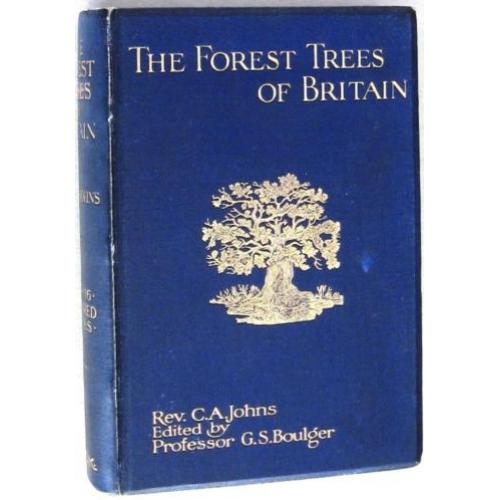 The Forest Trees of Britain 1912 Johns - Bomen bossen