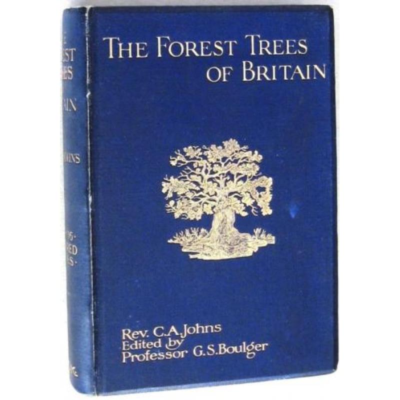 The Forest Trees of Britain 1912 Johns - Bomen bossen