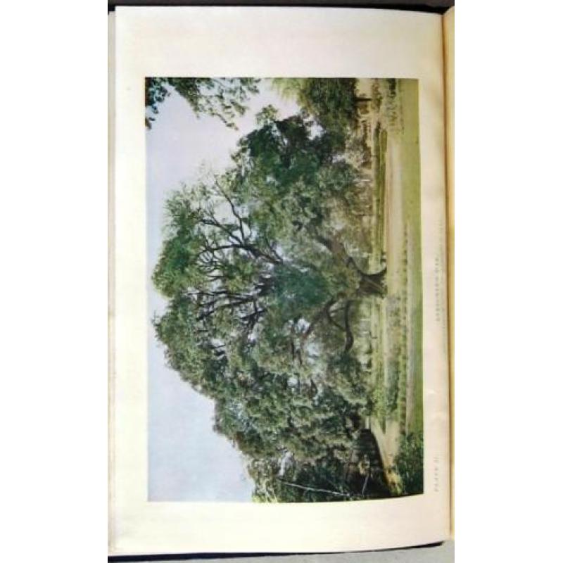 The Forest Trees of Britain 1912 Johns - Bomen bossen