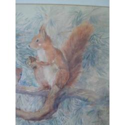 Aquarel.