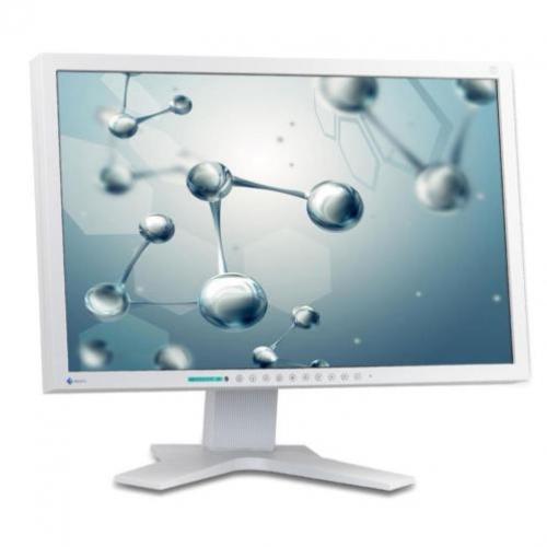 22 Inch LCD Eizo Flexscan S2202wmet Speakers
