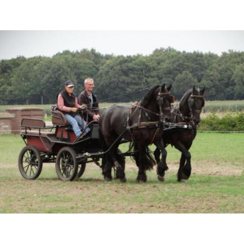 2 span friese paarden + toebehoren