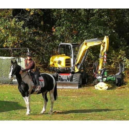 Goedgekeurde Knappe Paint en Super Braaf Bont Rijpaard