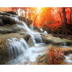 Waterval vlies behang Herfstbos