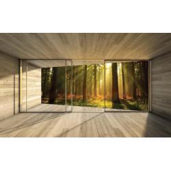 FOTOBEHANG HET BOS, VLIES, 3 BANEN, 312 x 219 cm