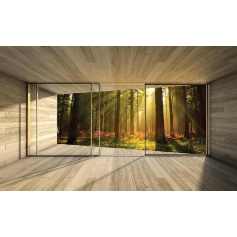 FOTOBEHANG HET BOS, VLIES, 3 BANEN, 312 x 219 cm