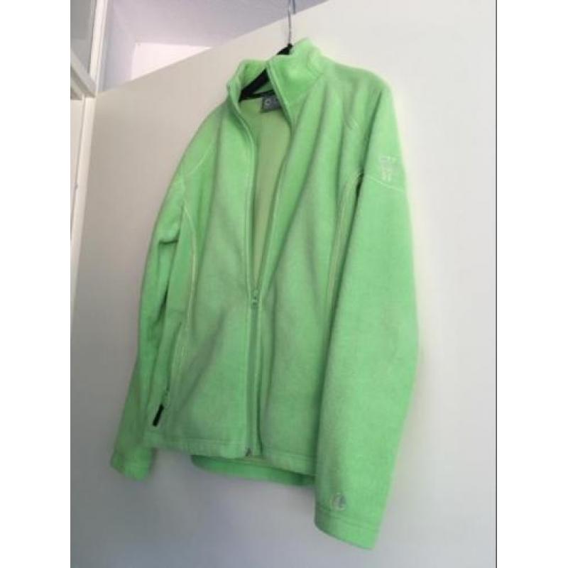 Groen vest Wildebeast