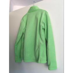 Groen vest Wildebeast
